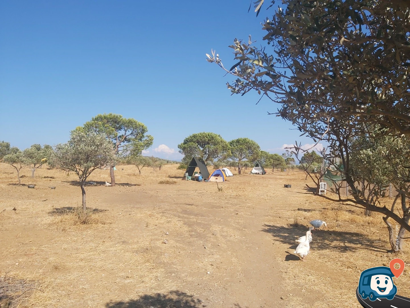Trata Ayvalık - Balıkesir