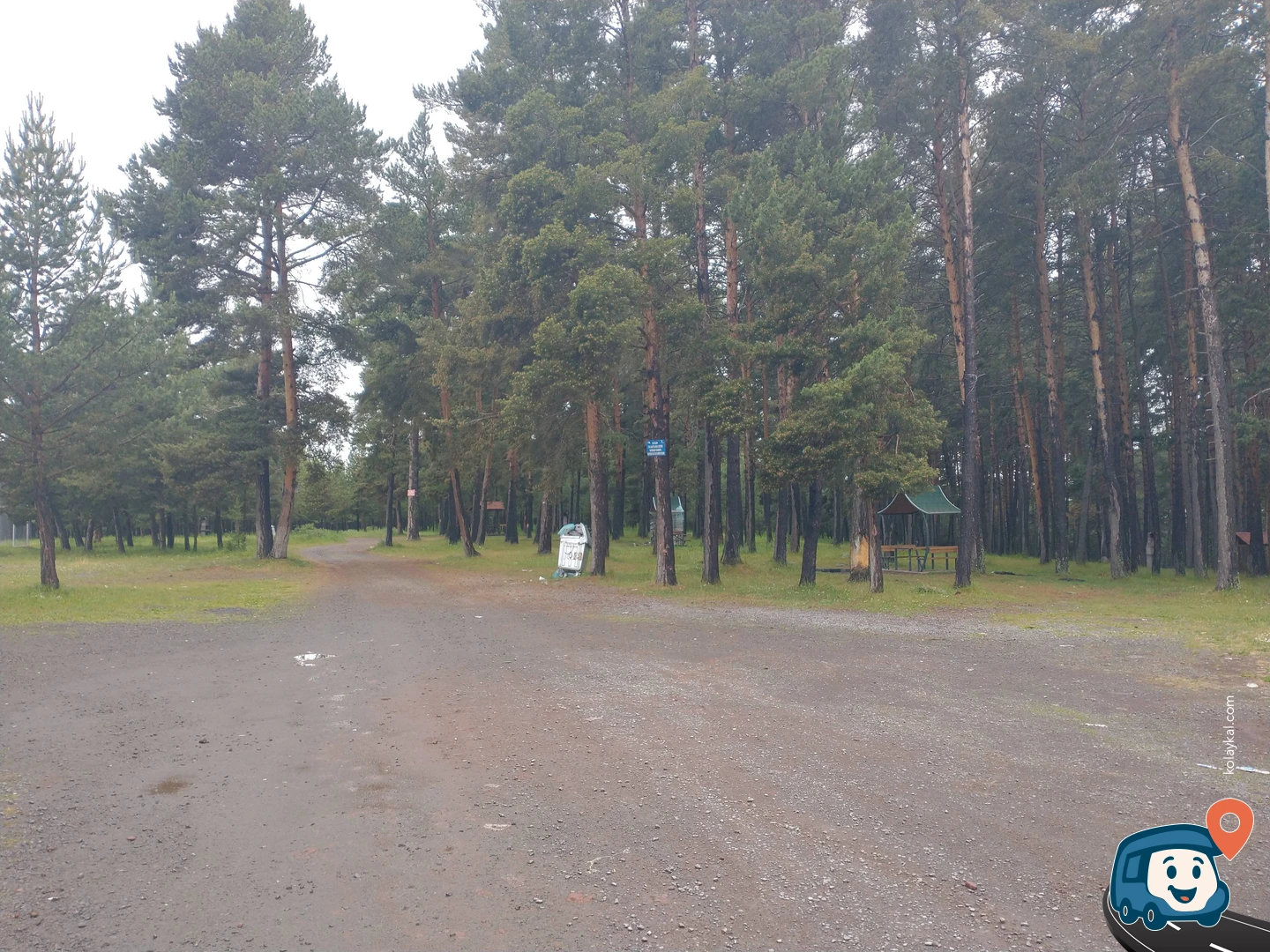 Hanak Kuzeyi Ormanlık Park - Ardahan