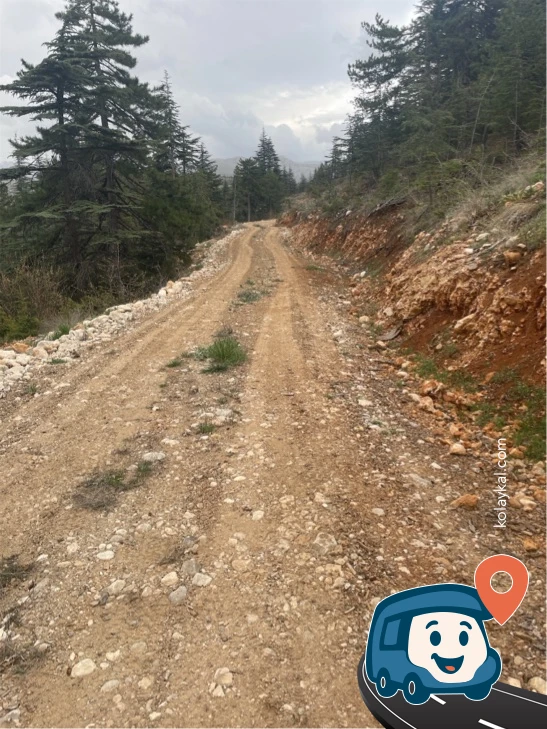 Ağaçların Altındaki Vahşi Kamp Alanı - Develi, Kayseri