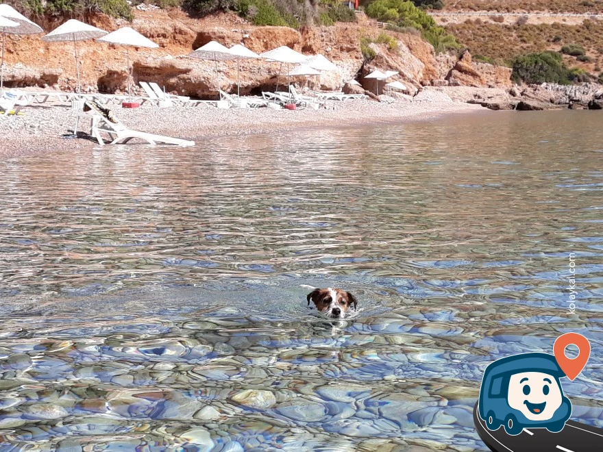 Akçabük Camping - Datça, Muğla