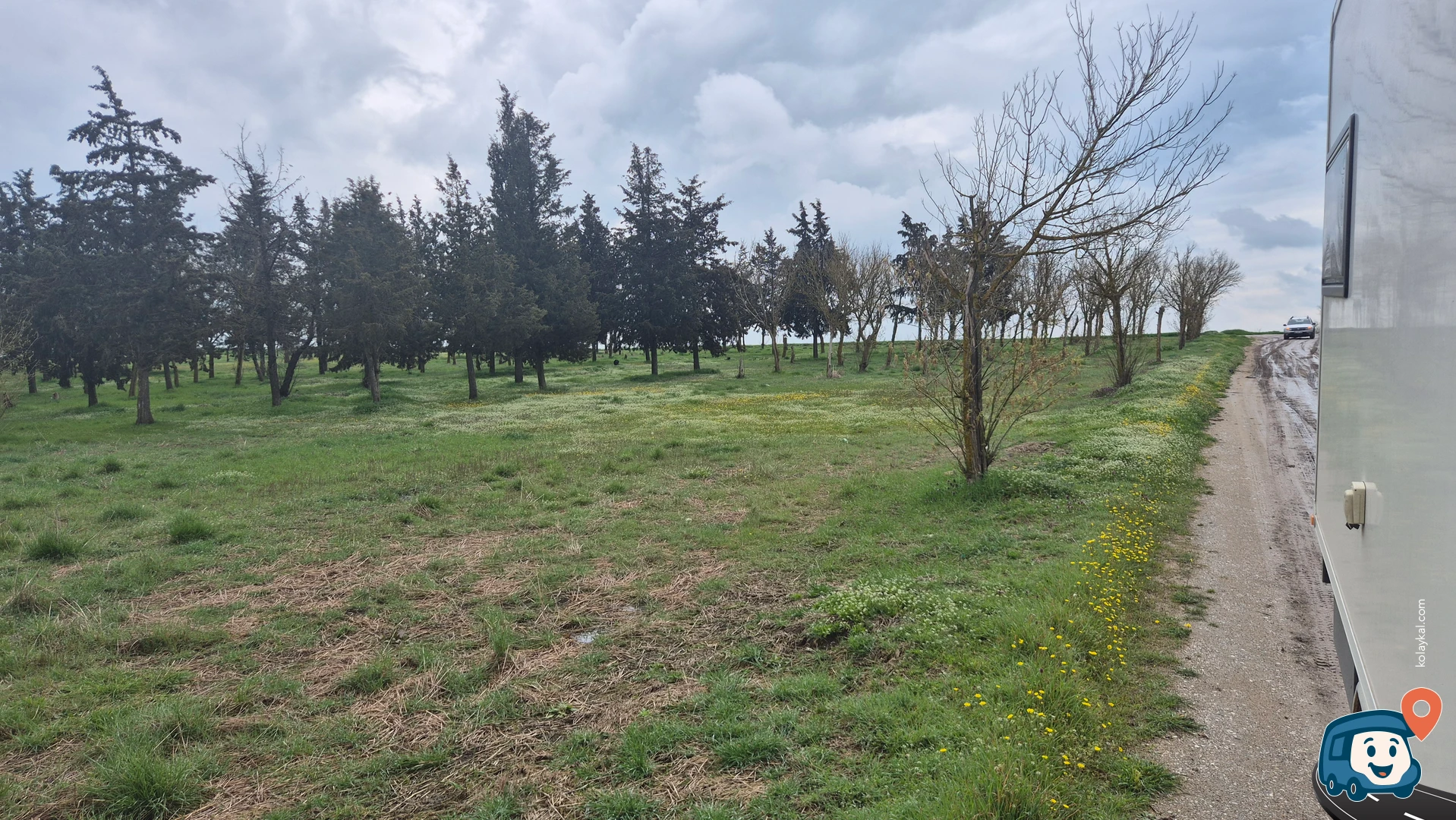 Çim Piknik Alanı - Havsa, Edirne