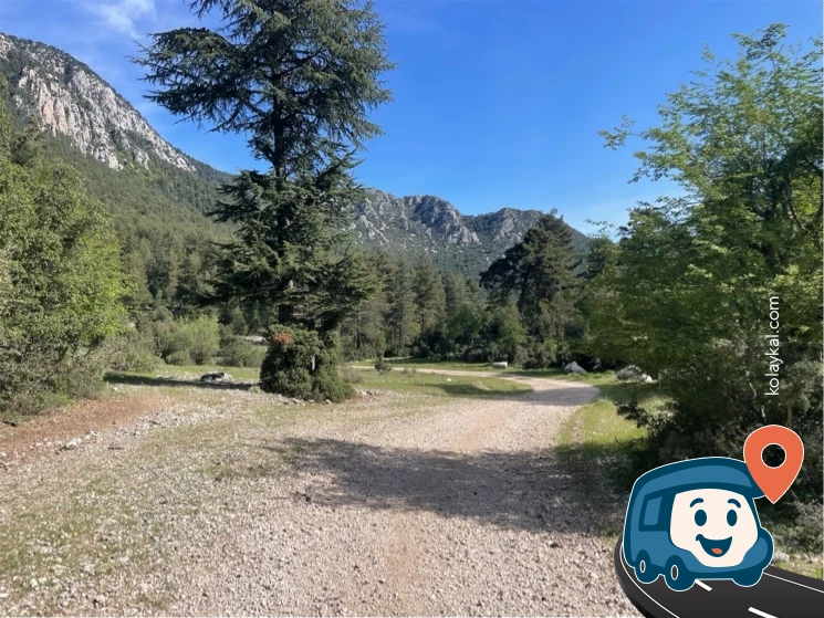 Kaplumbağaların Arasında - Kemer, Antalya