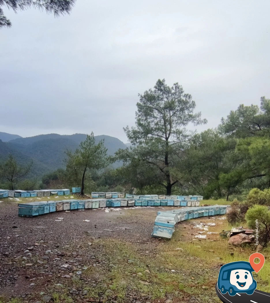 Göl Manzaralı Çıkmaz Yol - Köyceğiz, Muğla
