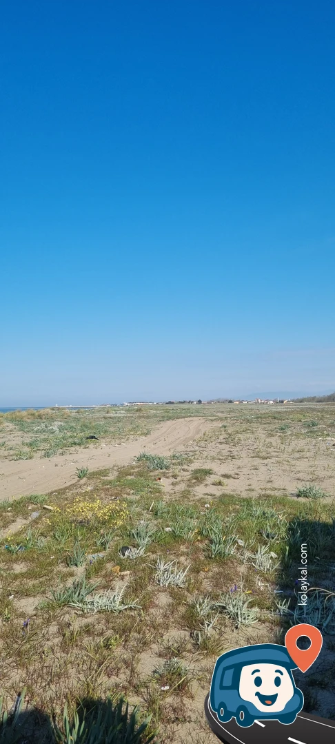 Karadeniz Kumulu Vahşi Kamp Yeri - Karasu, Sakarya