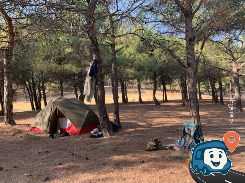 Ormanlık Tepeler Vahşi Kamp - Şehitkamil, Gaziantep