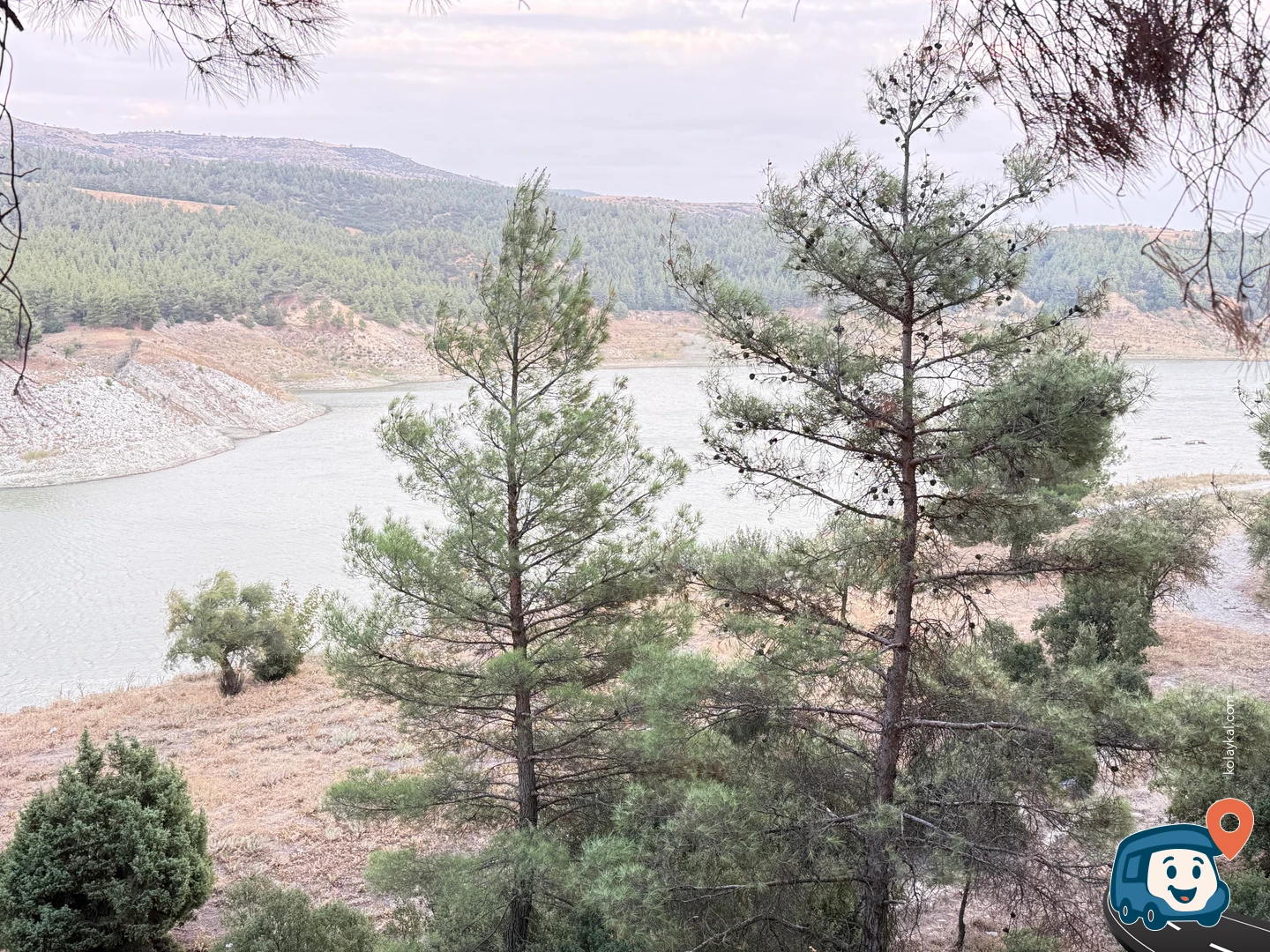 Gölü Kenarındaki Çam Ağaçları - Buldan, Denizli