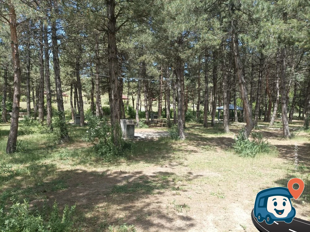 Baraj Yanında Piknik Noktası - Yıldızeli, Sivas