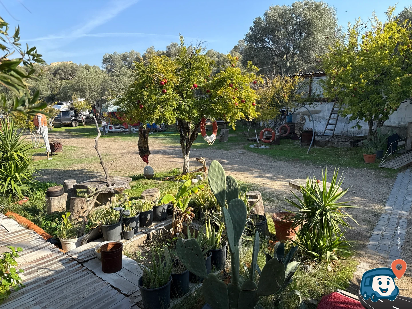 Double Cc Wood Camp - Foça, İzmir