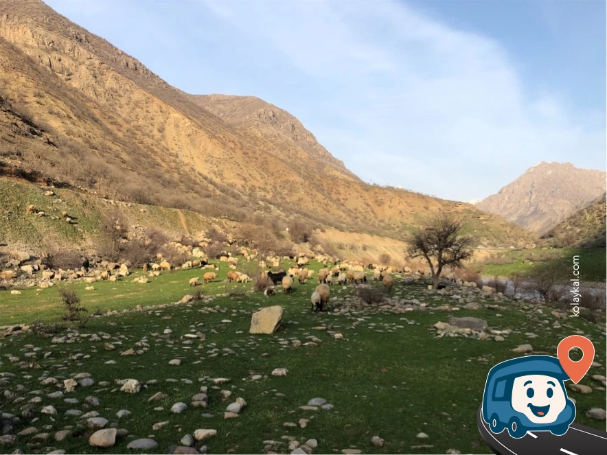 Nehir Kenarı Vahşi Kamp Noktası - Hakkâri Merkez, Hakkari