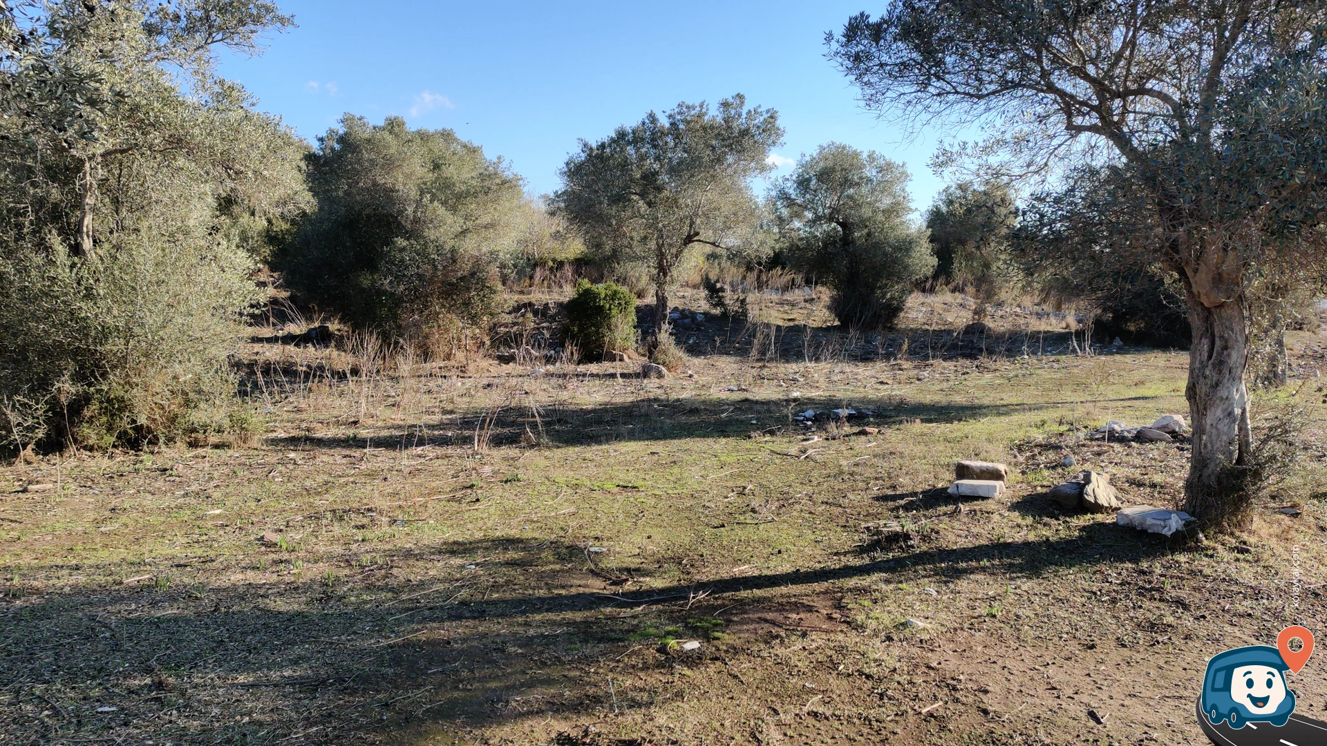 Bargylia Antik Kenti Vahşi Kamp Alanı - Milas, Muğla