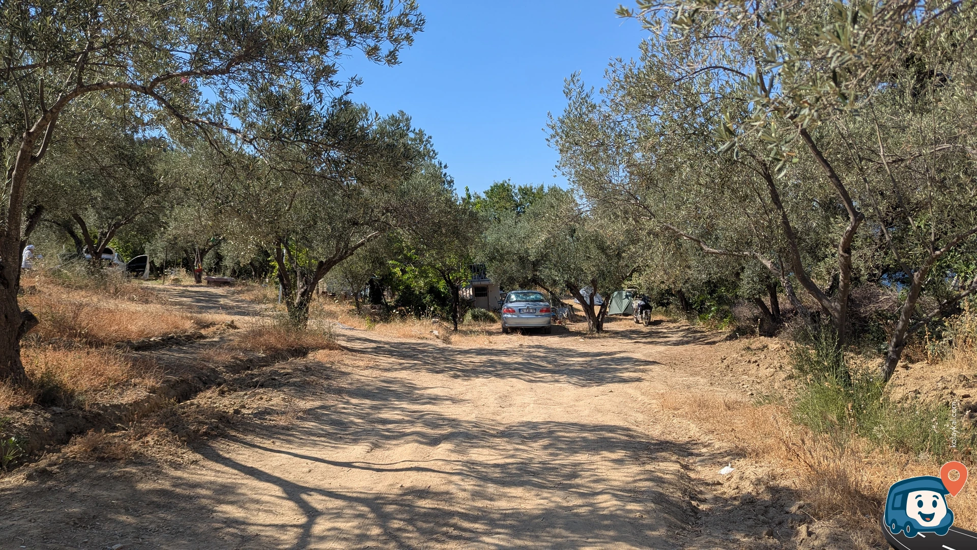 Zeytinlik Çadır Kamp ve Piknik Alanı - Eceabat, Çanakkale