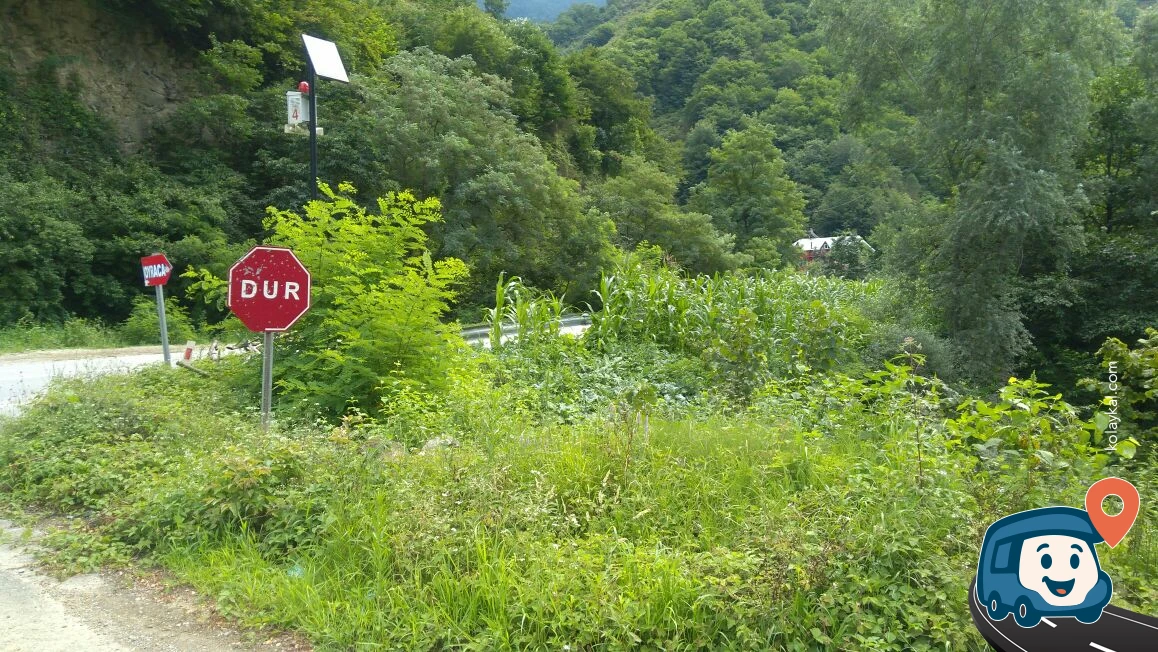 Doğal Kaynak Suyu Çeşmesi - Tirebolu, Giresun