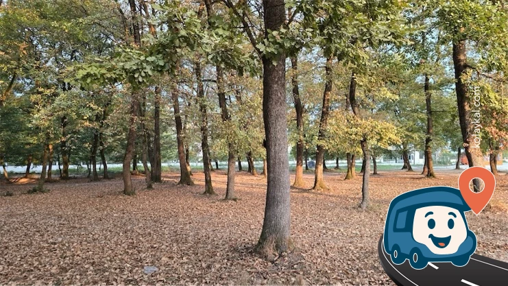 Meydan Yakını Otopark Alanı - Düzce