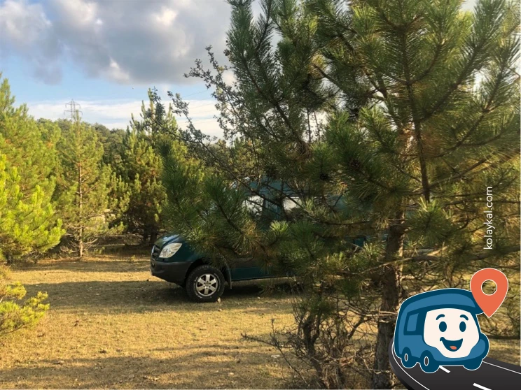 Yol Kenarı Vahşi Kamp Alanı - Mudurnu, Bolu